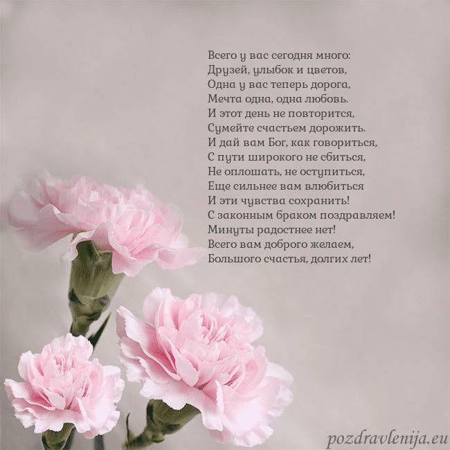 Открытка с розовыми гвоздиками Всего у вас сегодня много:
Друзей, улыбок и цветов Открытка с розовыми гвоздиками