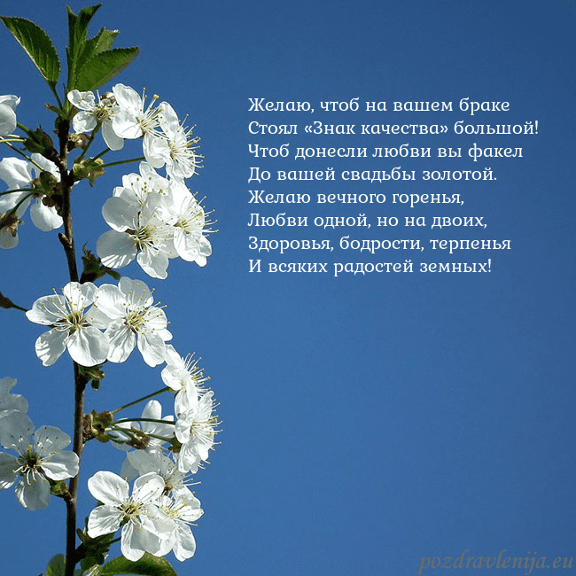Открытка с весенними цветами Желаю, чтоб на вашем браке
Стоял «Знак качества» б Открытка с весенними цветами
