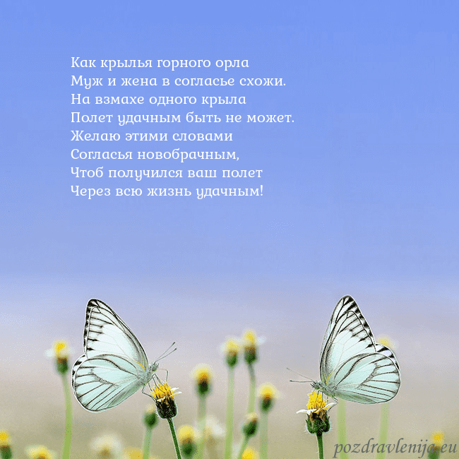 Свадебная открытка с двумя бабочками