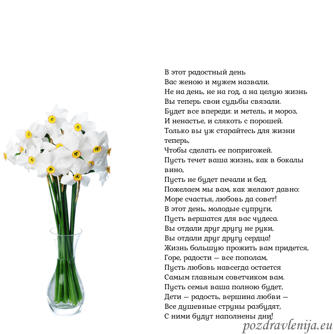 Открытка с нарциссами В этот радостный день
Вас женою и мужем назвали.
Н Открытка с нарциссами