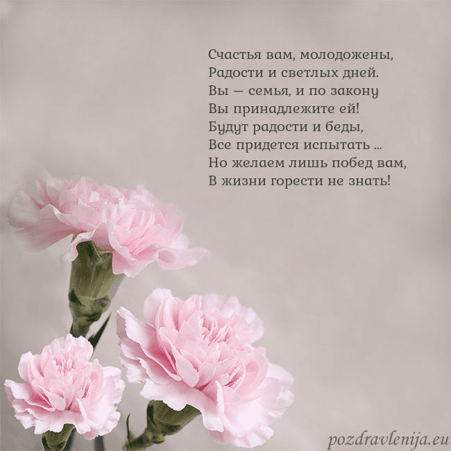 Открытка с розовыми гвоздиками Счастья вам, молодожены,
Радости и светлых дней.
В Открытка с розовыми гвоздиками