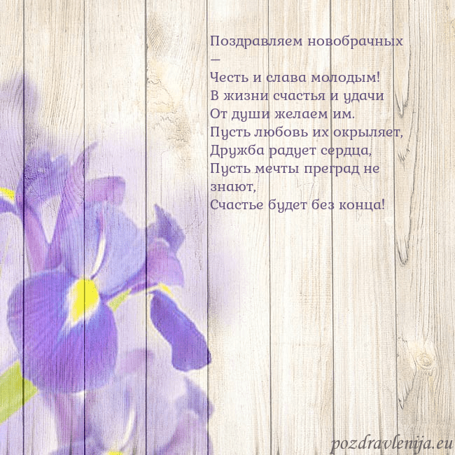 Открытка с ирисами Поздравляем новобрачных –
Честь и слава молодым!
В Открытка с ирисами