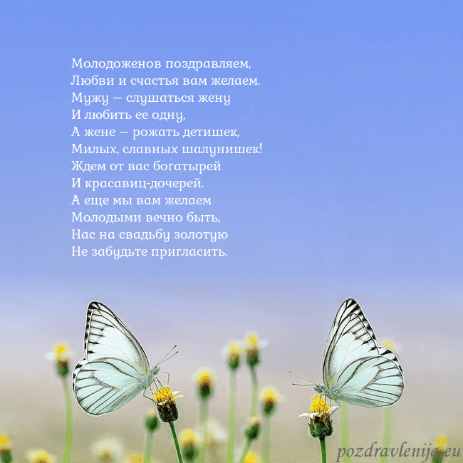 Свадебная открытка с двумя бабочками Молодоженов поздравляем,
Любви и счастья вам желае Свадебная открытка с двумя бабочками