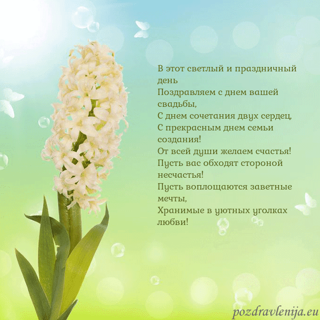 Открытка с гиацинтом В этот светлый и праздничный день
Поздравляем с дн Открытка с гиацинтом