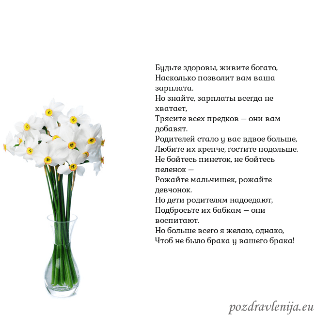 Открытка с нарциссами Будьте здоровы, живите богато,
Насколько позволит Открытка с нарциссами