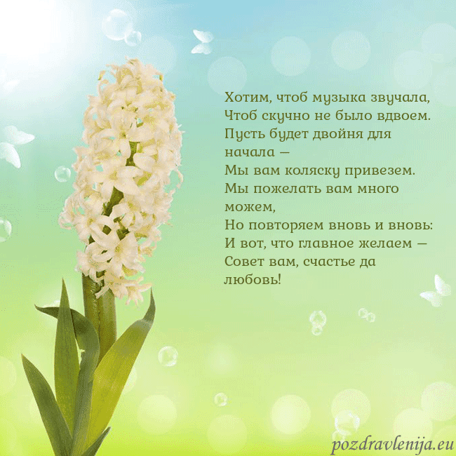 Открытка с гиацинтом Хотим, чтоб музыка звучала,
Чтоб скучно не было вд Открытка с гиацинтом