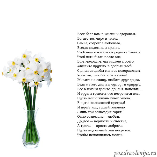 Открытка с нарциссами Всех благ вам в жизни и здоровья,
Богатства, мира Открытка с нарциссами