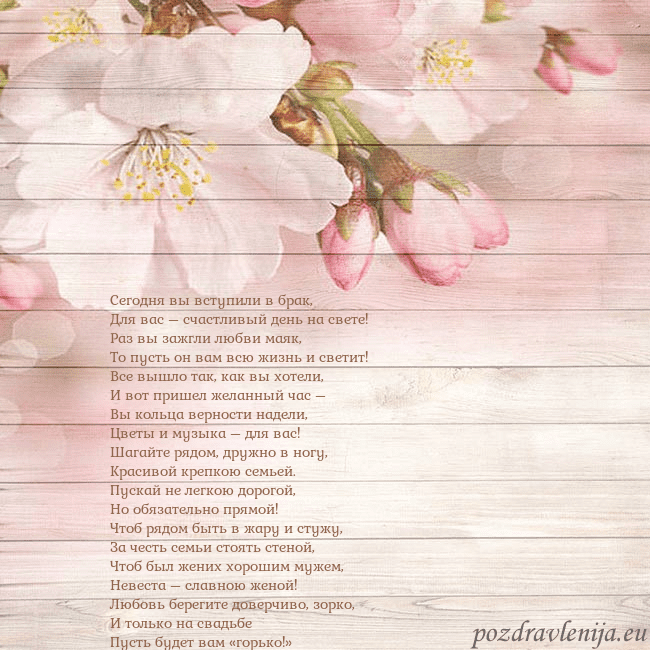 Открытка с цветами яблони Сегодня вы вступили в брак,
Для вас – счастливый д Открытка с цветами яблони