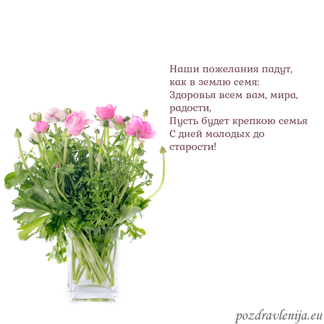 Открытка с цветами в вазе Наши пожелания падут, как в землю семя:
Здоровья в Открытка с цветами в вазе