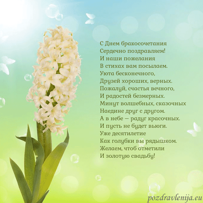 Открытка с гиацинтом С Днем бракосочетания
Сердечно поздравляем!
И наши Открытка с гиацинтом