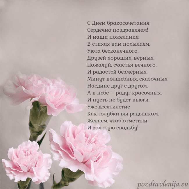 Открытка с розовыми гвоздиками С Днем бракосочетания
Сердечно поздравляем!
И наши Открытка с розовыми гвоздиками