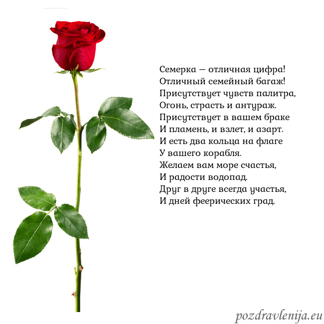 Открытка с красной розой Семерка – отличная цифра!
Отличный семейный багаж! Открытка с красной розой