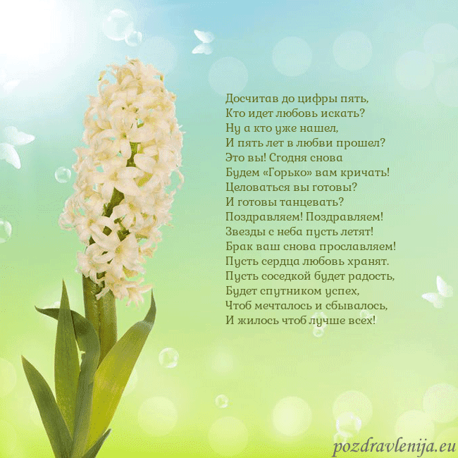 Открытка с гиацинтом Досчитав до цифры пять,
Кто идет любовь искать?
Ну Открытка с гиацинтом