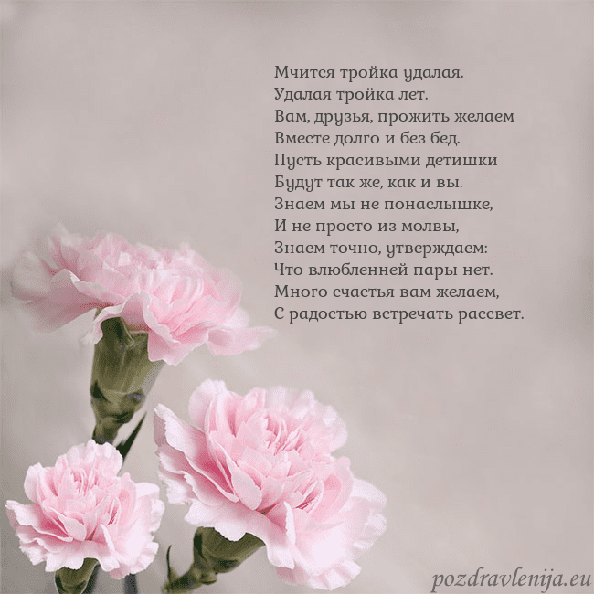 Открытка с розовыми гвоздиками Мчится тройка удалая.
Удалая тройка лет.
Вам, друз Открытка с розовыми гвоздиками