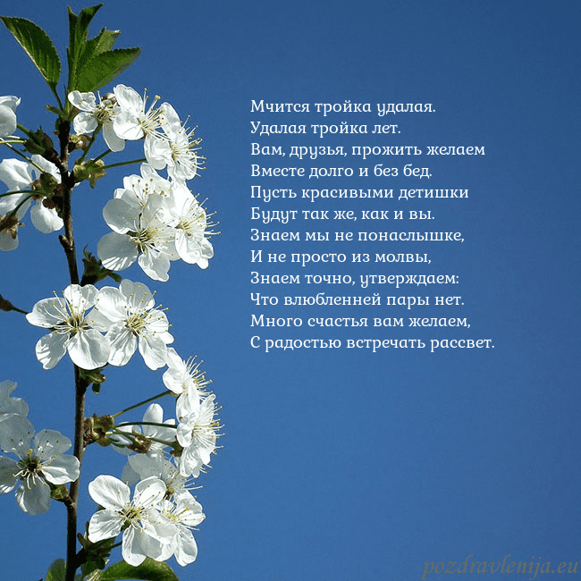 Открытка с весенними цветами Мчится тройка удалая.
Удалая тройка лет.
Вам, друз Открытка с весенними цветами
