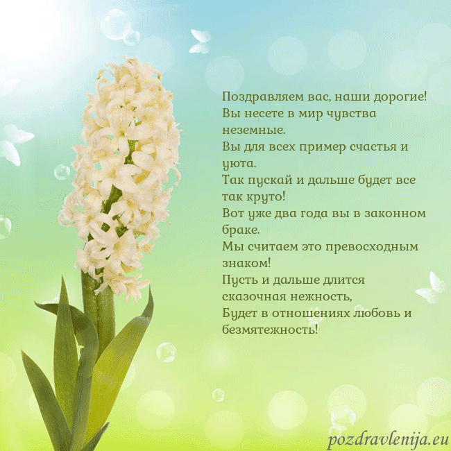 Открытка с гиацинтом Поздравляем вас, наши дорогие!
Вы несете в мир чув Открытка с гиацинтом