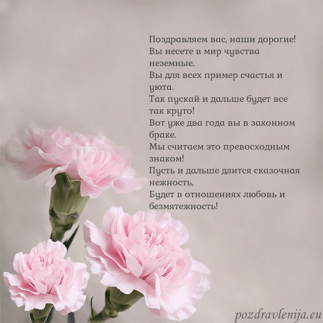 Открытка с розовыми гвоздиками Поздравляем вас, наши дорогие!
Вы несете в мир чув Открытка с розовыми гвоздиками