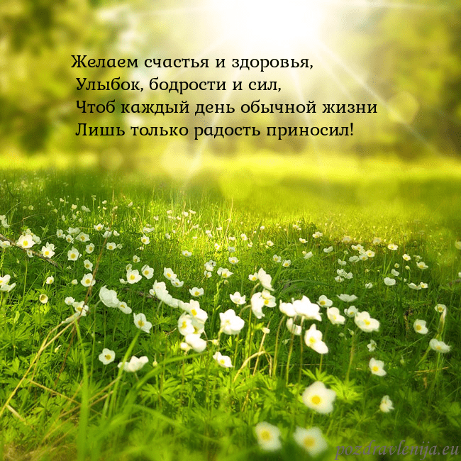 Электронная открытка с утопающим в солнечном свете лугом