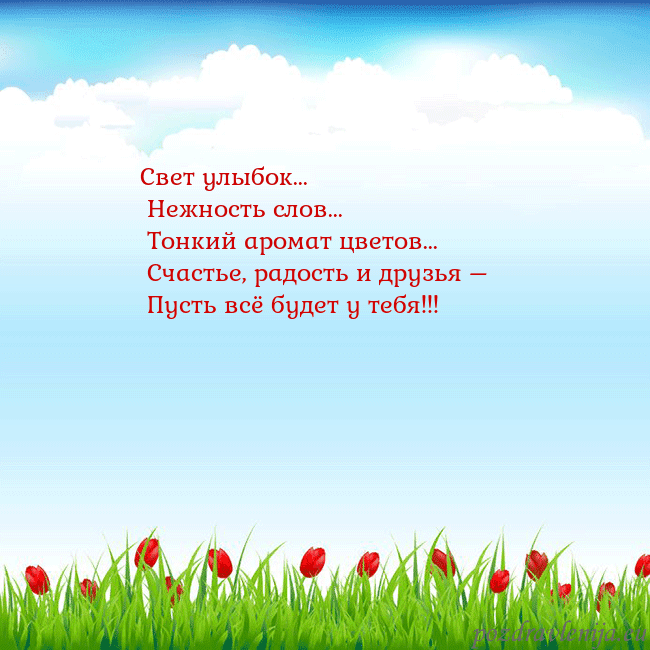 Открытка с тюльпанами