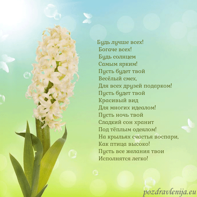 Открытка с гиацинтом