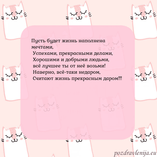 Розовая открытка с забавными кошками