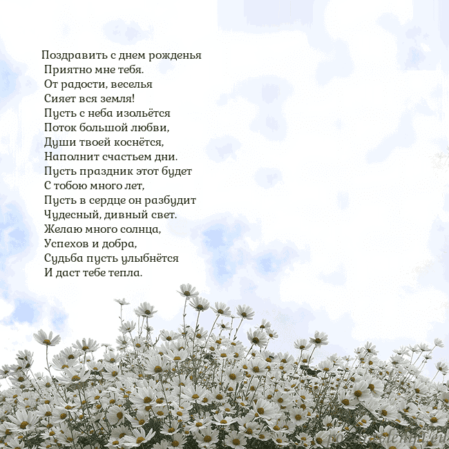 Открытка с ромашками