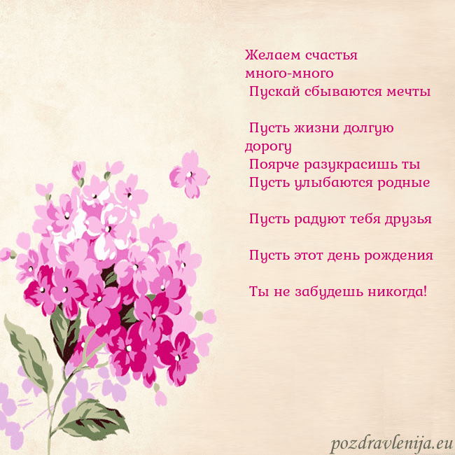 Открытка с гортензией