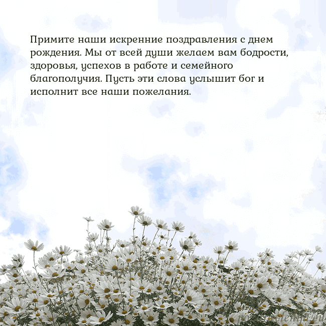Открытка с ромашками