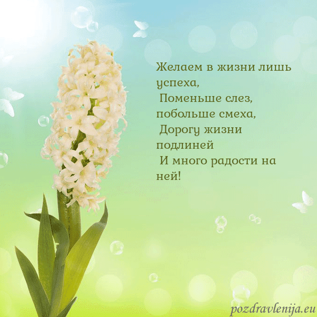Открытка с гиацинтом