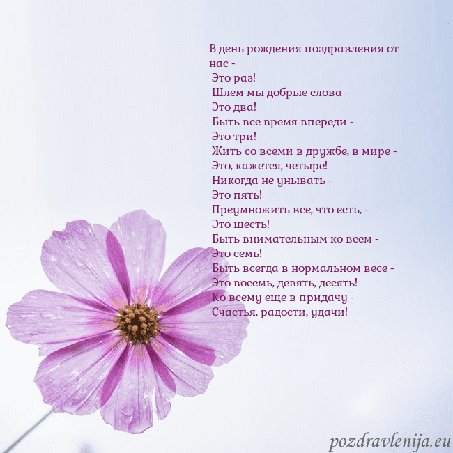 Электронная открытка с фиолетовым цветком