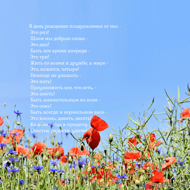 Открытка с маками