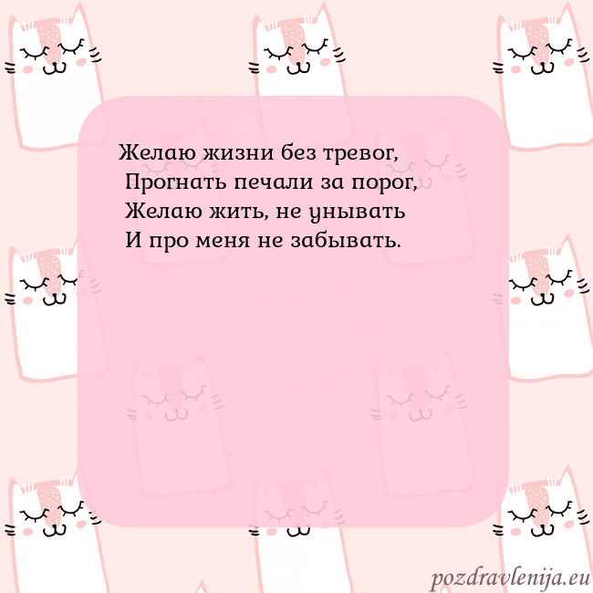 Розовая открытка с забавными кошками