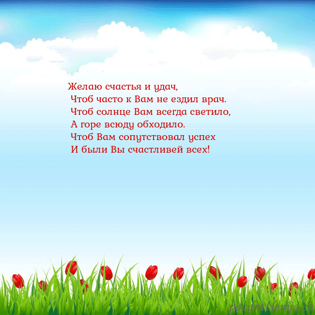 Открытка с тюльпанами