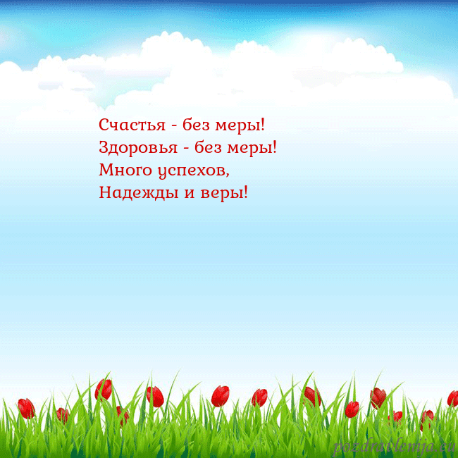 Открытка с тюльпанами
