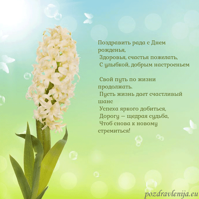 Открытка с гиацинтом