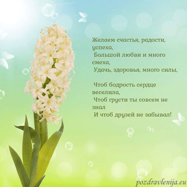 Открытка с гиацинтом