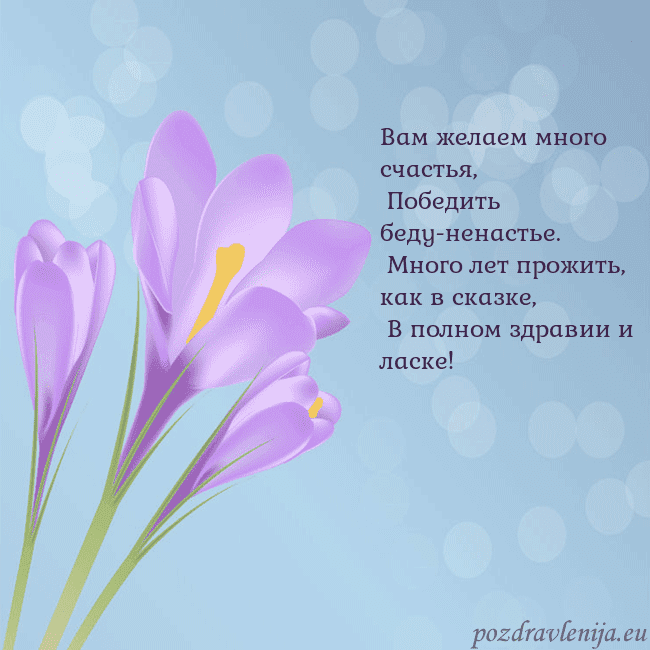 Открытка с крокусом