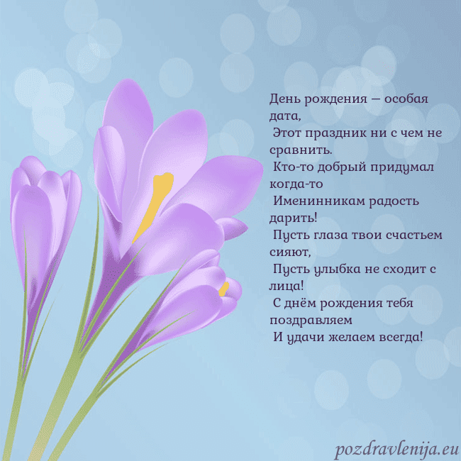 Открытка с крокусом