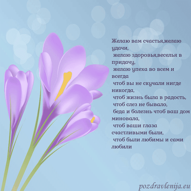 Открытка с крокусом