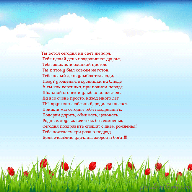 Открытка с тюльпанами