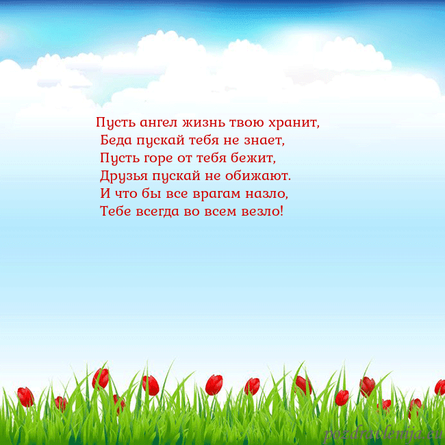 Открытка с тюльпанами