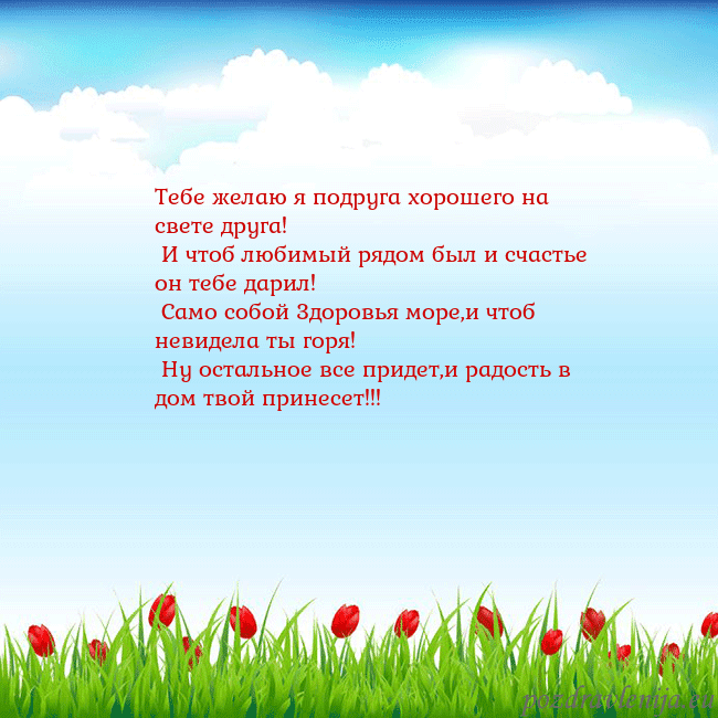 Открытка с тюльпанами