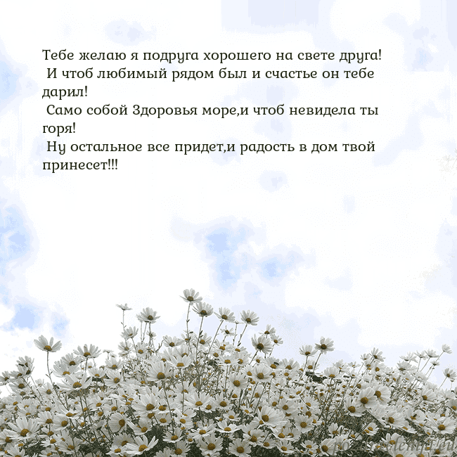 Открытка с ромашками