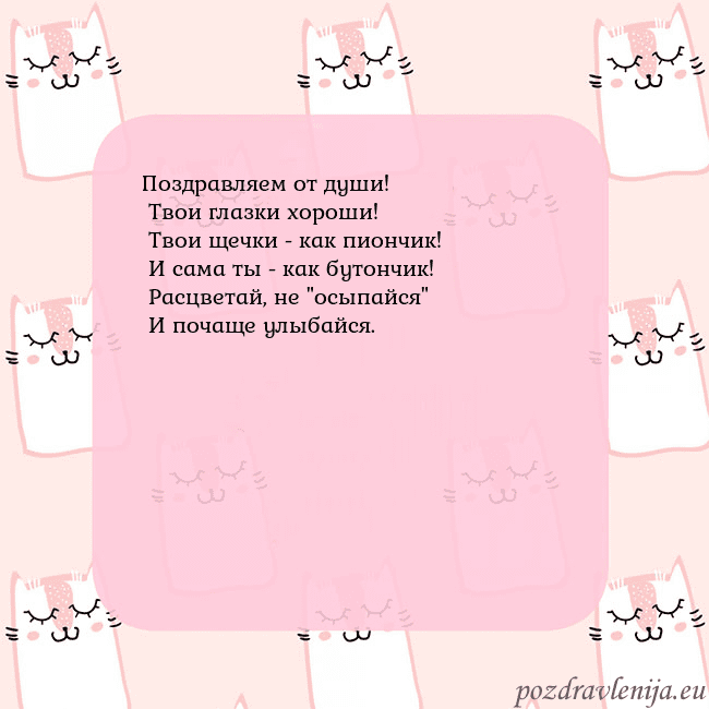 Розовая открытка с забавными кошками