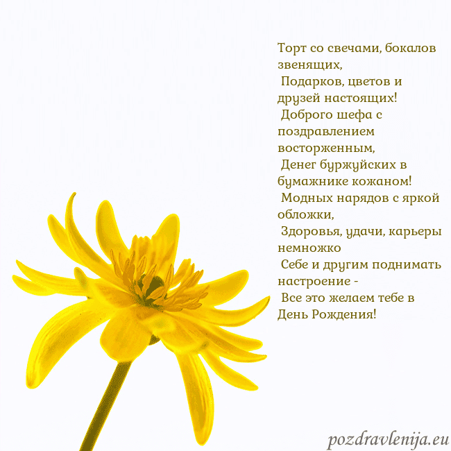 Открытка с желтым цветком
