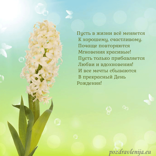 Открытка с гиацинтом