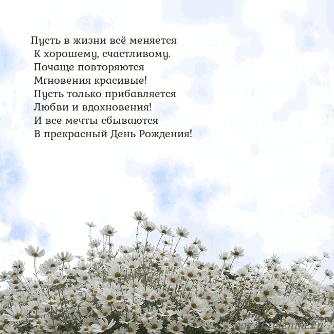 Открытка с ромашками