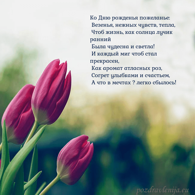 Открытка с тремя красными тюльпанами