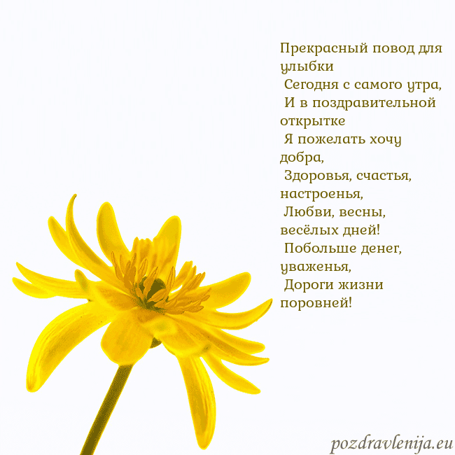 Открытка с желтым цветком