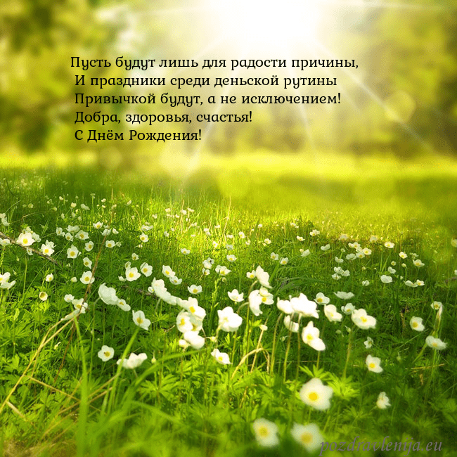 Электронная открытка с утопающим в солнечном свете лугом